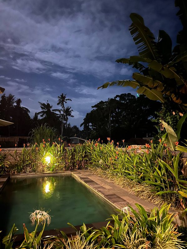 A serene nighttime scene featuring a pool surrounded by lush greenery and illuminated by soft lighting.