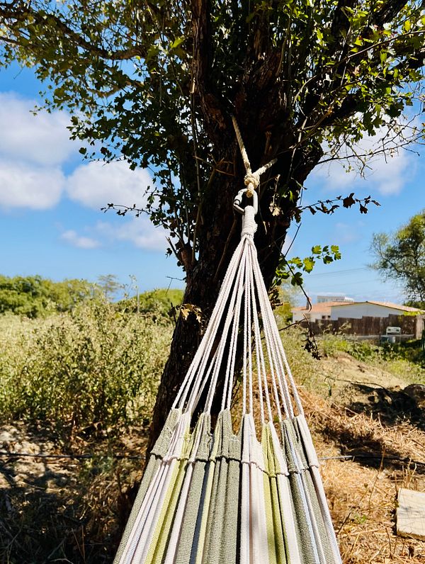 A hammock is securely attached to a tree in a sunny outdoor setting.