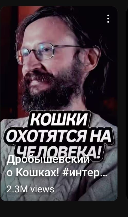 A man with glasses and a beard is featured in a video thumbnail discussing cats hunting humans.